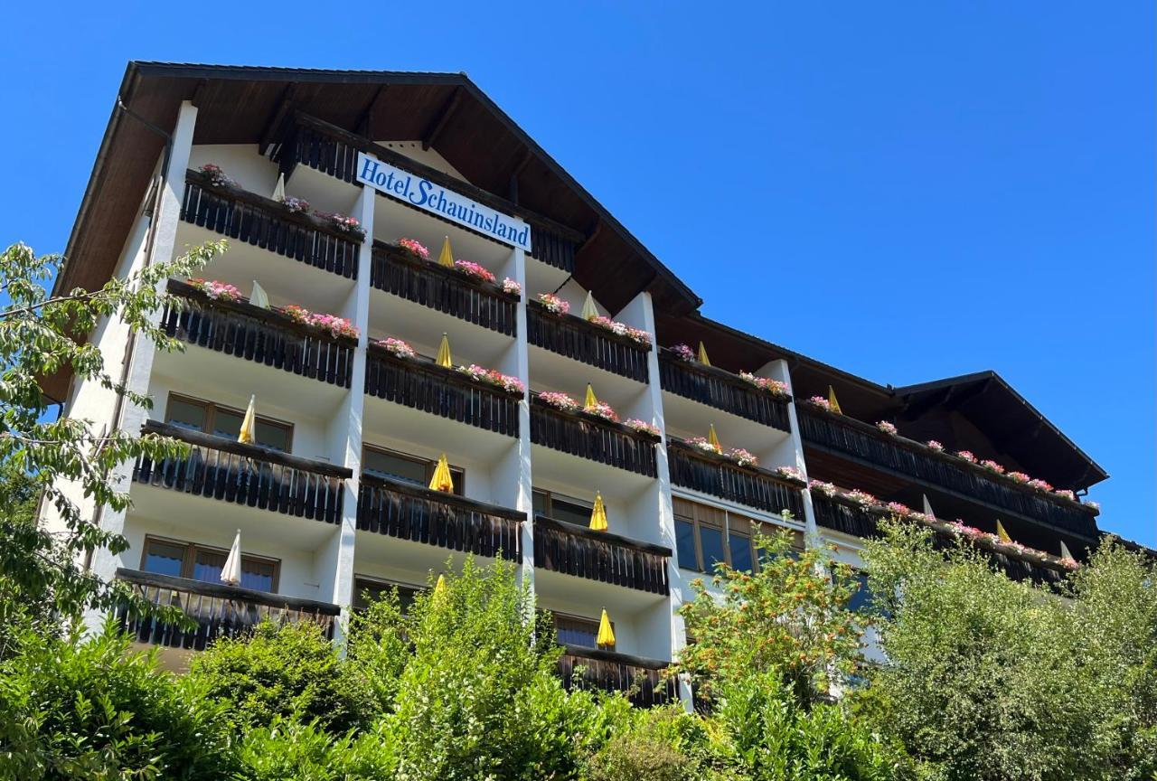 Hotel Schauinsland Бад-Петерсталь-Ґрісбах Екстер'єр фото