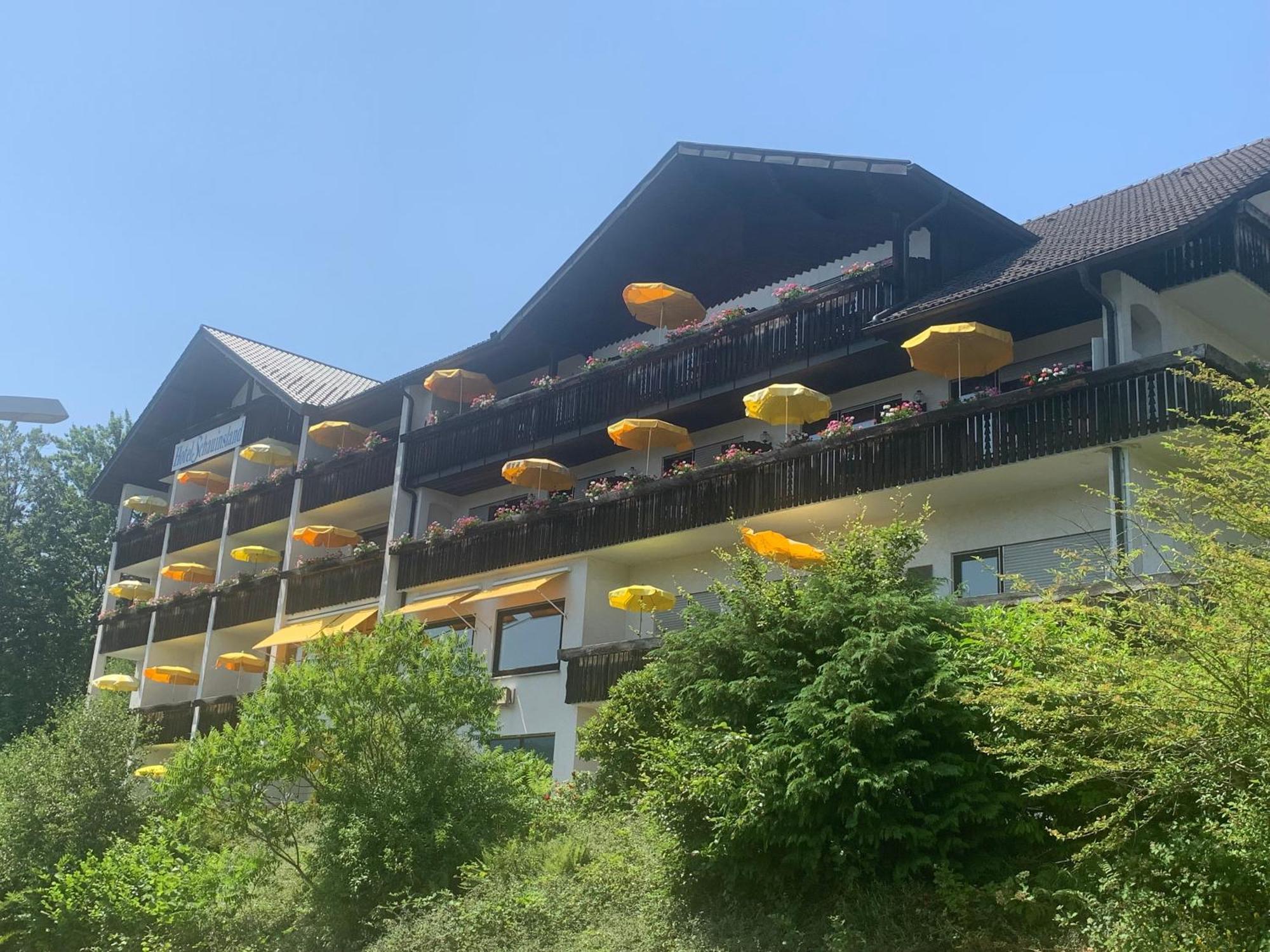 Hotel Schauinsland Бад-Петерсталь-Ґрісбах Екстер'єр фото